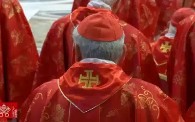 Re: Momento histórico difícil, que sea elegido el Papa de la comunión y la unidad