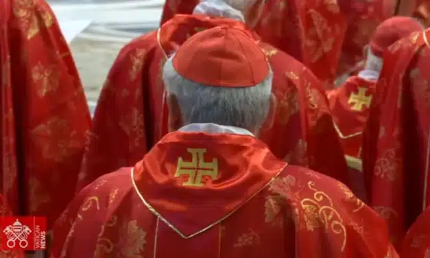 Re: Momento histórico difícil, que sea elegido el Papa de la comunión y la unidad