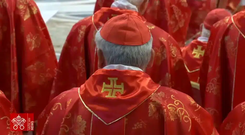 Re: Momento histórico difícil, que sea elegido el Papa de la comunión y la unidad