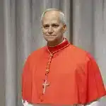Nuevo Papa