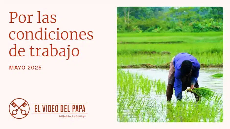 MAYO | Por las condiciones de trabajo