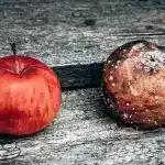 apples-6694486_1280