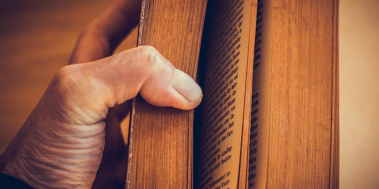 La historia universal y el aborto