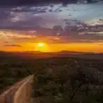 dirt-road-1845933_1280