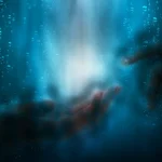 fear-4440916_1280