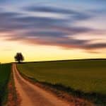 nature-3112448_1280