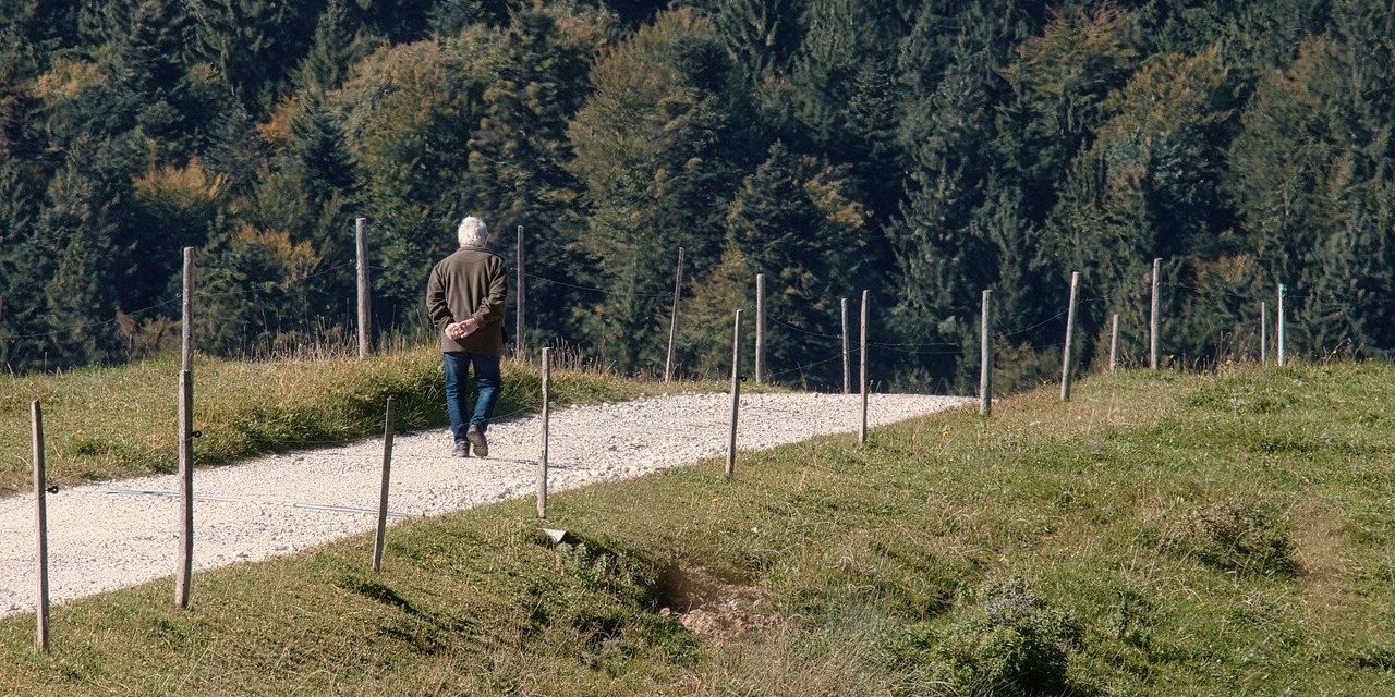 Recuperar el camino