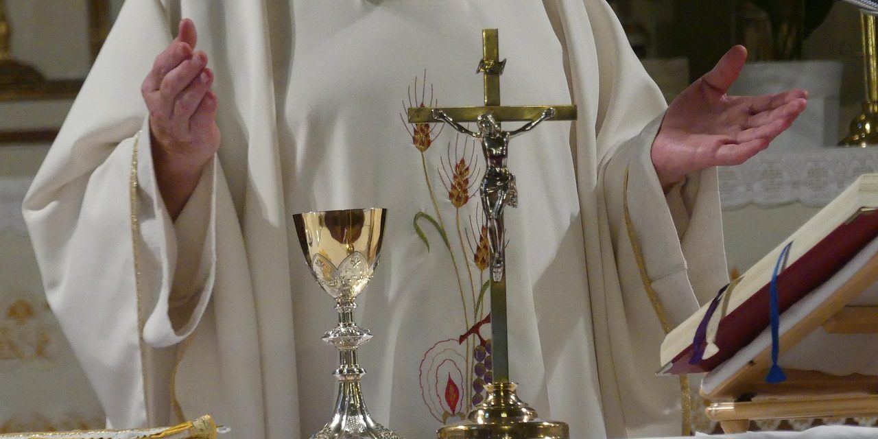 Pastores según el corazón de Jesús que nos den la vida eterna