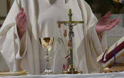 Pastores según el corazón de Jesús que nos den la vida eterna