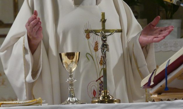 Pastores según el corazón de Jesús que nos den la vida eterna