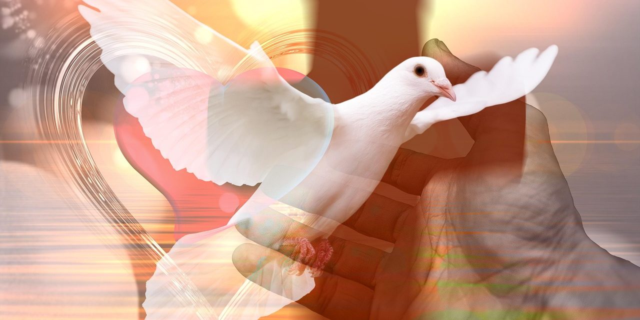 Dios amor donado en comunión con las divinas personas