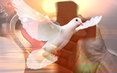 Dios amor donado en comunión con las divinas personas