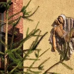 Humanos