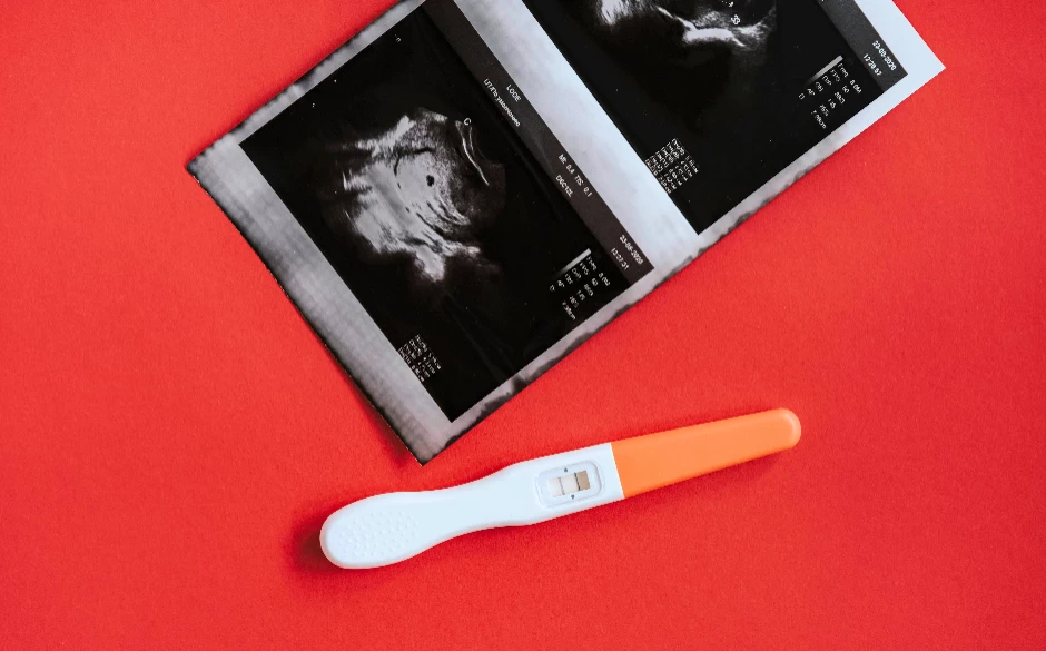 La búsqueda de embarazo: más que biología, un camino integral
