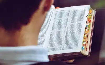 Leer y asimilar las Escrituras