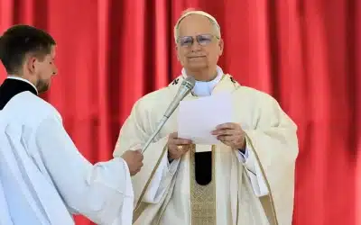 El Papa: Rezo por las familias que sufren por la guerra