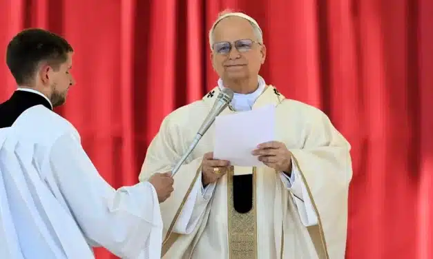 El Papa: Rezo por las familias que sufren por la guerra