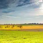 algunas notas verano