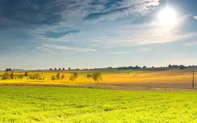 Algunas notas para el verano