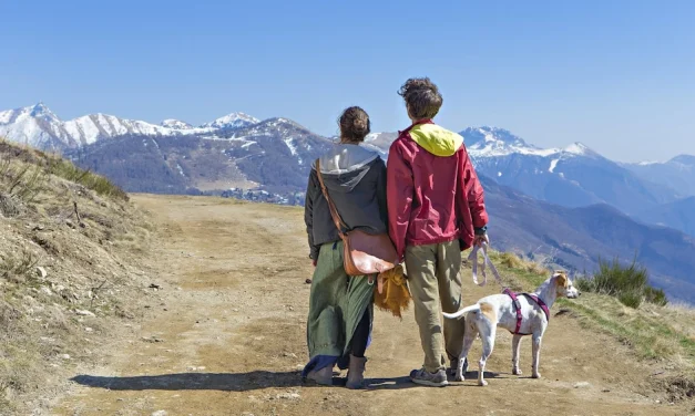Con los defectos a cuestas