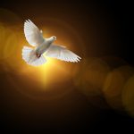 faith-4664706_1280