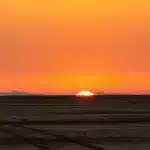 sahara-8208094