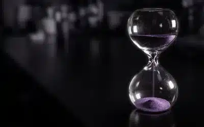 ¿Qué sigue?