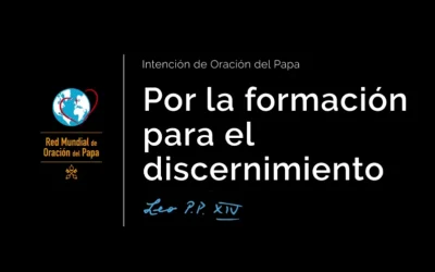 Por la formación para el discernimiento: el video del Papa