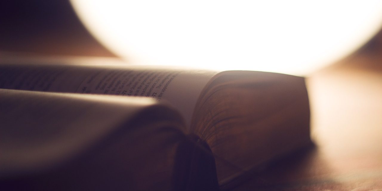 Sobre el libro de Job