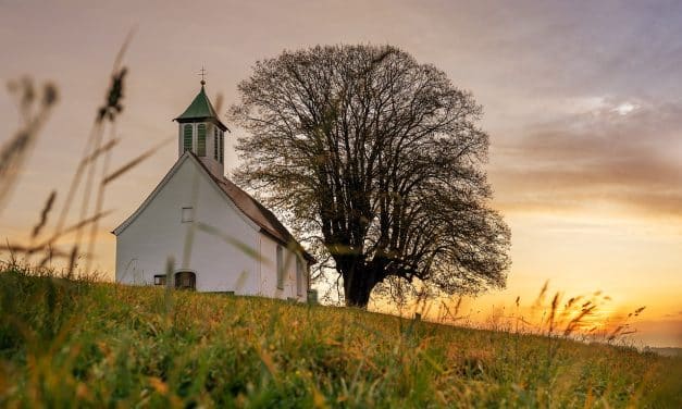 La fuerza de la evangelización en nombre de Cristo