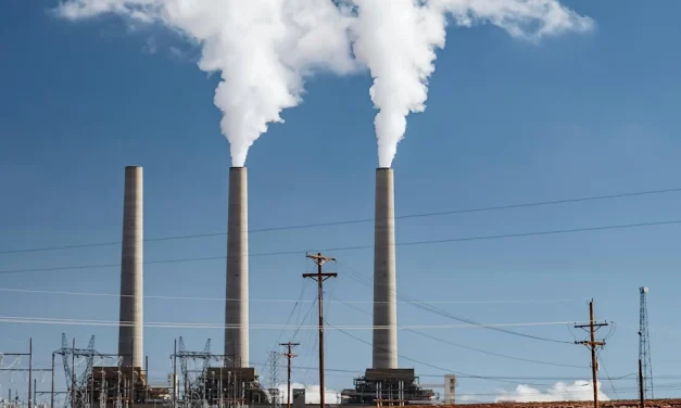 Claman justicia climática y denuncian “drenaje de recursos”