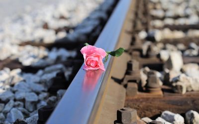 Ataque frontal contra niños y jóvenes