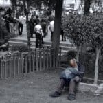 yard-2760851_1280