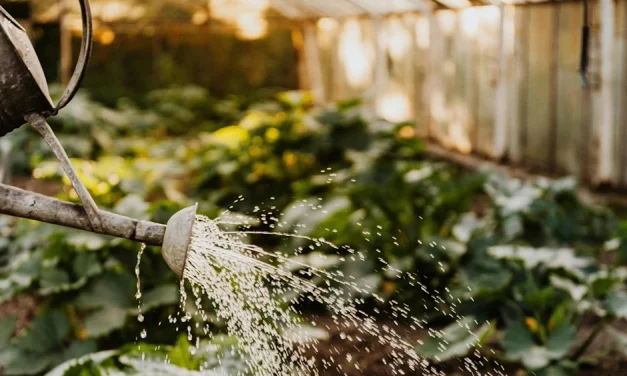 Falta agua
