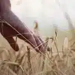 hand-7330658_1280