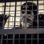 jail-5210097_1280