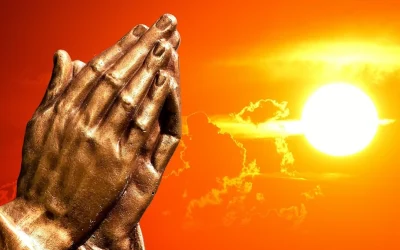 El Papa León XIV pide a la humanidad que siga orando por la paz mundial