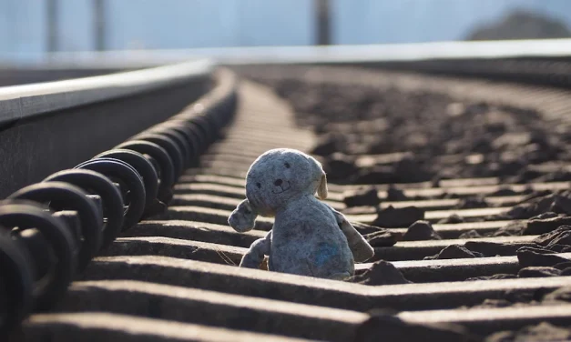 Fernandito, el sacrificio de una vida inocente