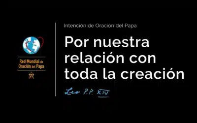 SEPTIEMBRE | Por nuestra relación con toda la creación (Video del Papa)
