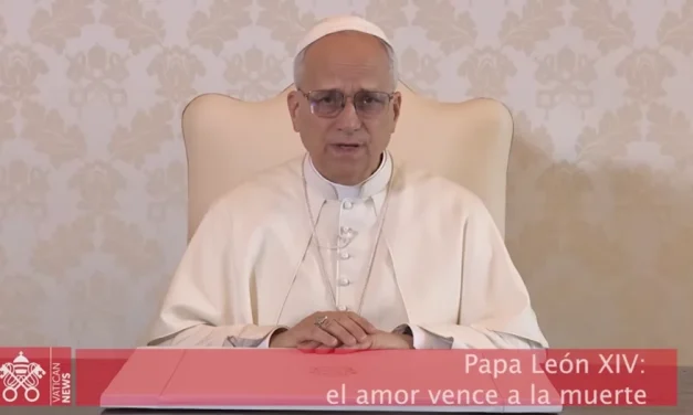 La semana del Papa León XIV