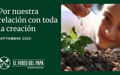 El Papa León XIV: “Todas las criaturas son amadas por Dios y dignas de amor y respeto”