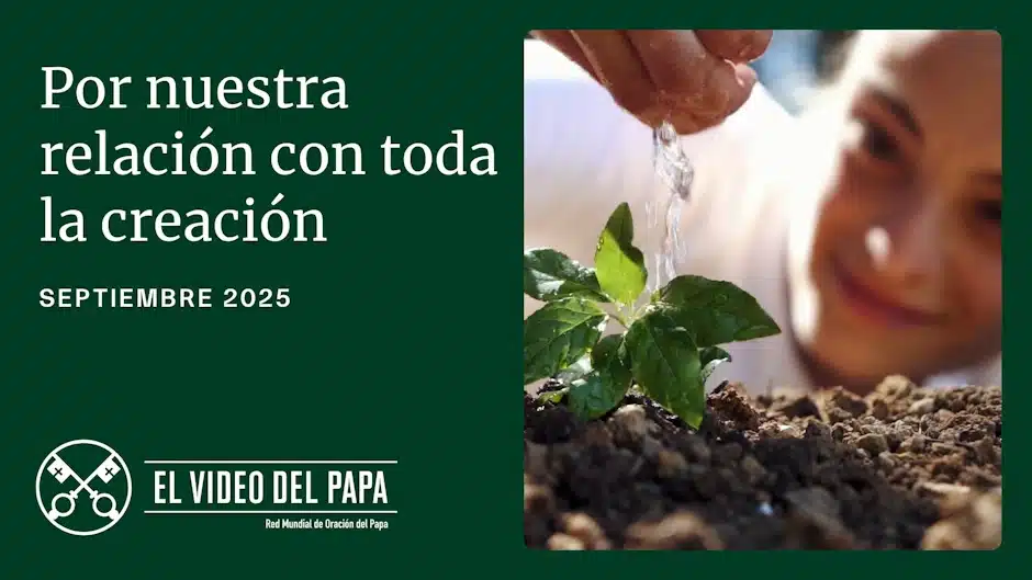 El Papa León XIV: “Todas las criaturas son amadas por Dios y dignas de amor y respeto”