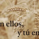 Yo en ellos y tu en mi