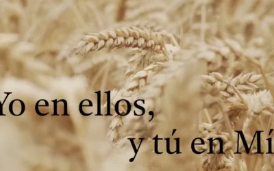 Documental: Yo en ellos y tu en mi