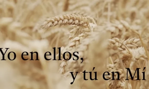 Documental: Yo en ellos y tu en mi