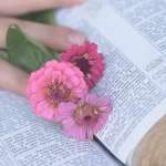 bible-4630661_1280
