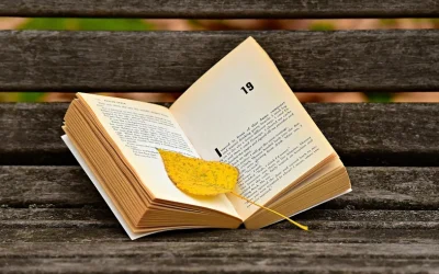 Al entrar en una novela