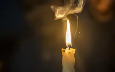 Llamada universal a la plenitud cristiana