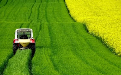 Cosechas malas y cosechas buenas