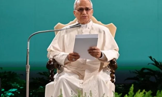 El Papa: Dios nos preguntará si hemos cuidado nuestra casa común